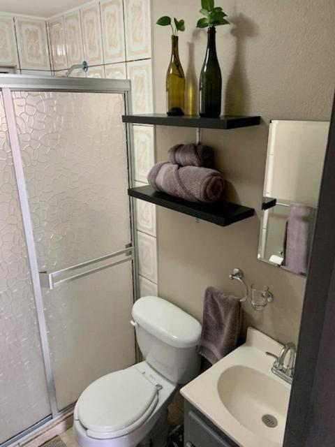 Soler 18 Appartement Tijuana Buitenkant foto